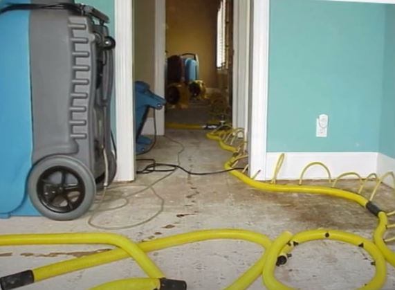 Office Mold and Moisture Removal Suffolk VA Hero Mold Removal