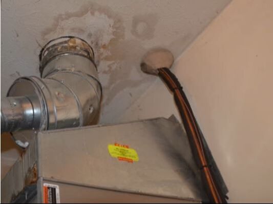 Mold in Ductwork Hero Mold Removal Colonial Heights, VA