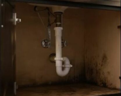 Restaurant Plumbing Leak Causes Mold Hero Mold Removal Norfolk, VA