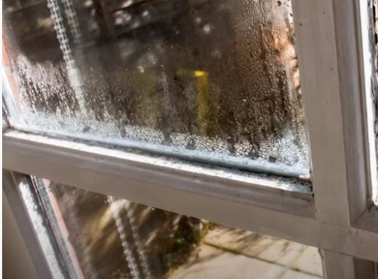 Condensation on Windows Farmville VA Hero Mold Removal