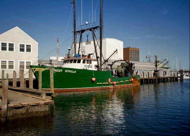 Amory  Seafood Docks Hampton VA  Hero Mold Removal Hampton, VA