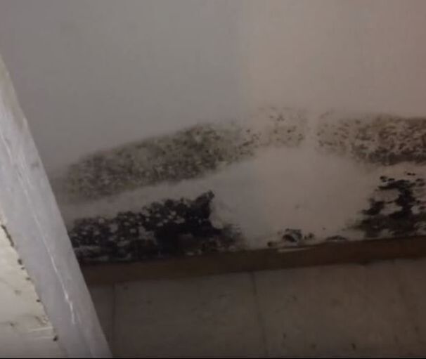 Bedroom Mold Cleaning Hero Mold Removal Hopewell, VA