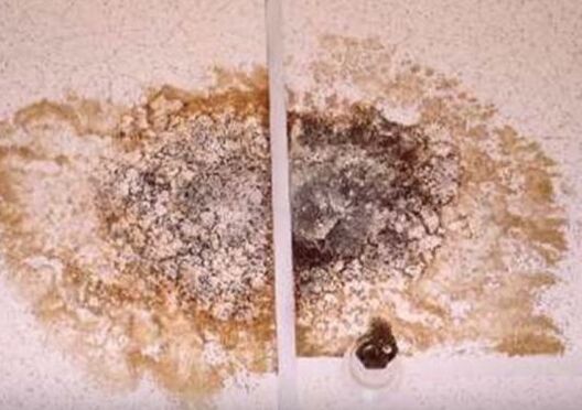 Ceiling Leak in Storage Room Hero Mold Removal VA