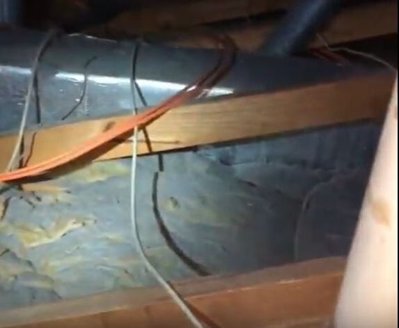 Dryer Vented to Attic: Condensation High Humidity Hero Mold Removal Newport News, VA