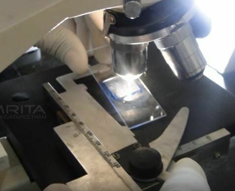 Microscope Used to Identify Mold Species Hero Mold Removal Williamsburg, VA