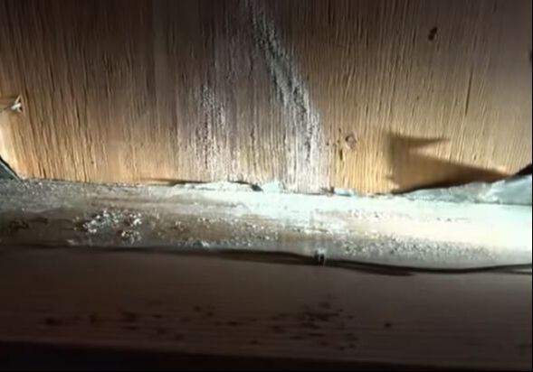 Mildew in Main Floor Closet Suffolk VA Hero Mold Removal 