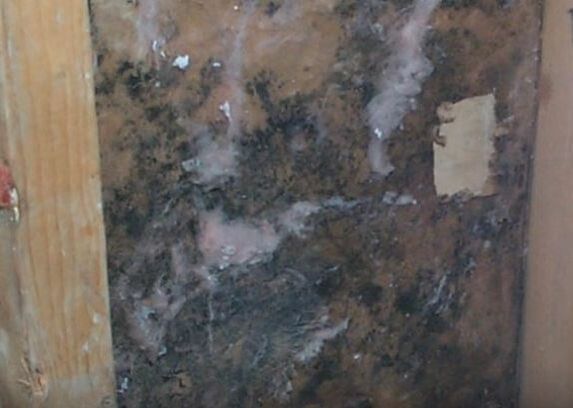Mold Hidden Inside Wall Cavity Hero Mold Removal VA