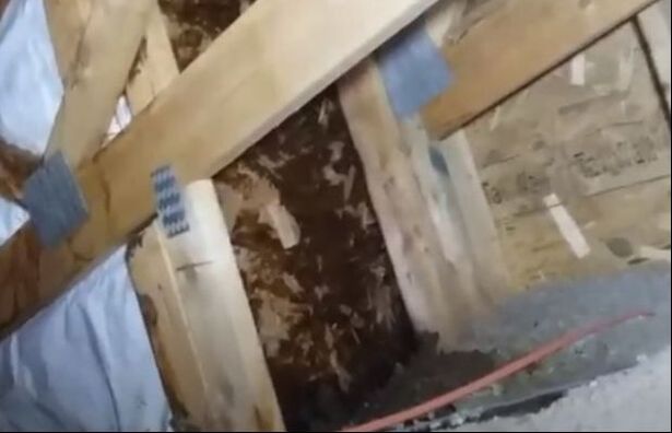 Mold from a Roof Leak Hero Mold Removal Chesapeake VA