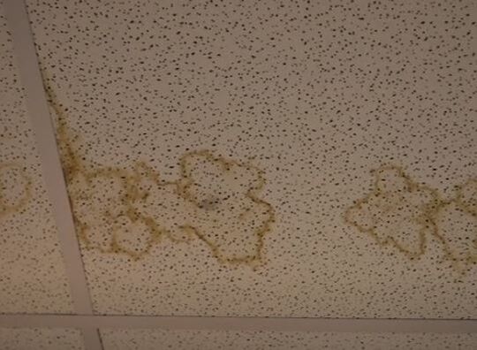 School Ceiling Mold Suffolk VA Hero Mold Removal