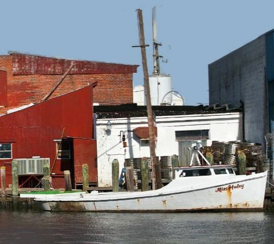Seafood Docks Downtown Hampton, VA Hero Mold Removal