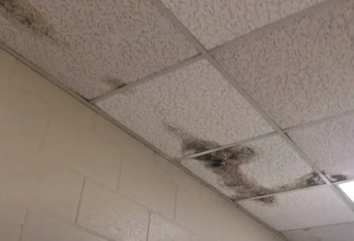 Elementary School Mold in Ceiling Farmville VA Hero Mold Removal