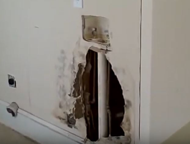 Black Mold Behind Hidden Washer Leak Hero Mold Removal Fredricksburg, VA